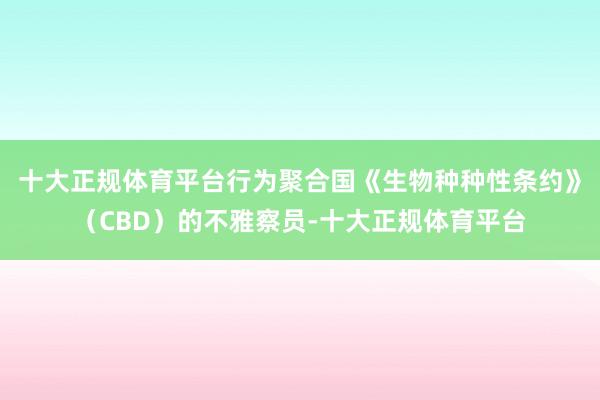 十大正规体育平台行为聚合国《生物种种性条约》（CBD）的不雅察员-十大正规体育平台