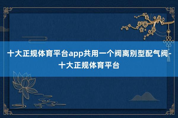 十大正规体育平台app共用一个阀离别型配气阀-十大正规体育平台