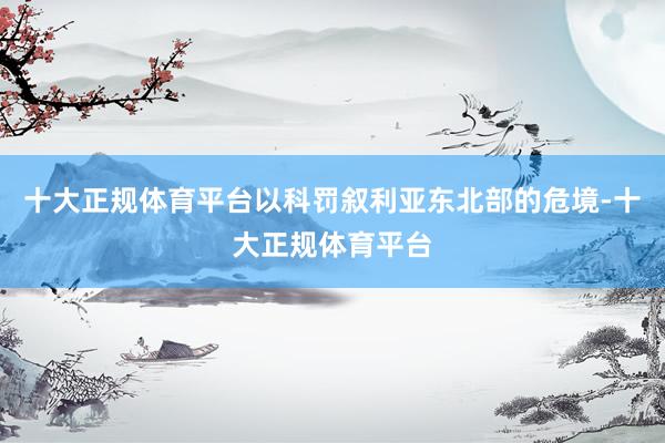 十大正规体育平台以科罚叙利亚东北部的危境-十大正规体育平台