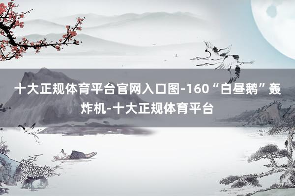 十大正规体育平台官网入口图-160“白昼鹅”轰炸机-十大正规体育平台