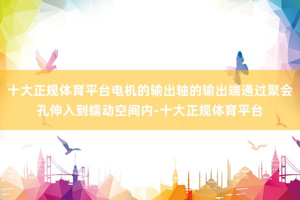 十大正规体育平台电机的输出轴的输出端通过聚会孔伸入到蠕动空间内-十大正规体育平台