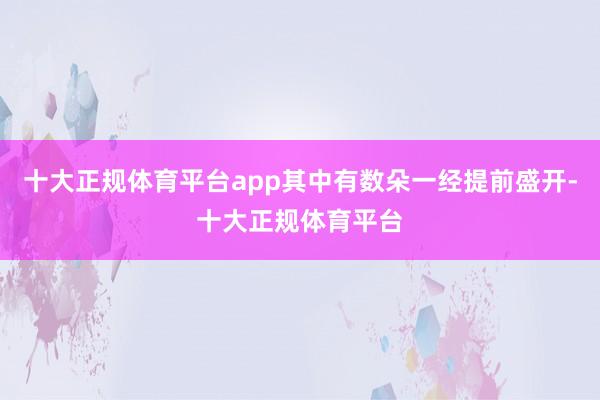 十大正规体育平台app其中有数朵一经提前盛开-十大正规体育平台
