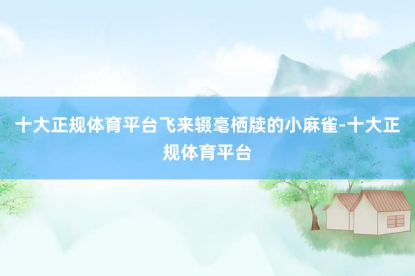 十大正规体育平台飞来辍毫栖牍的小麻雀-十大正规体育平台