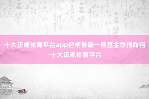 十大正规体育平台app把柄最新一期基金季报露馅-十大正规体育平台