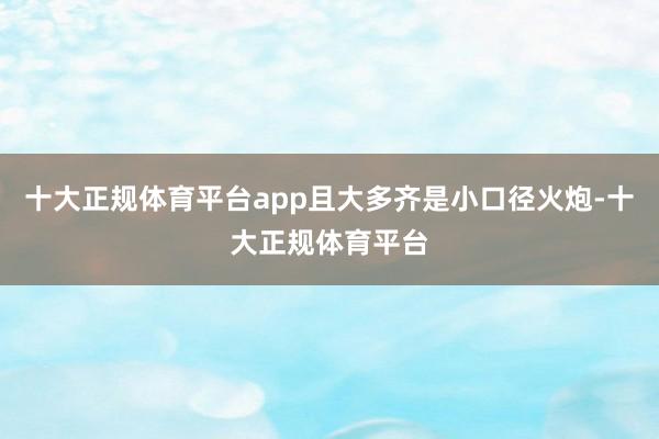 十大正规体育平台app且大多齐是小口径火炮-十大正规体育平台