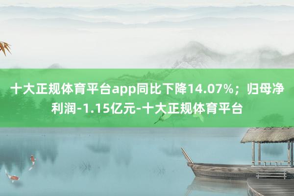 十大正规体育平台app同比下降14.07%；归母净利润-1.15亿元-十大正规体育平台