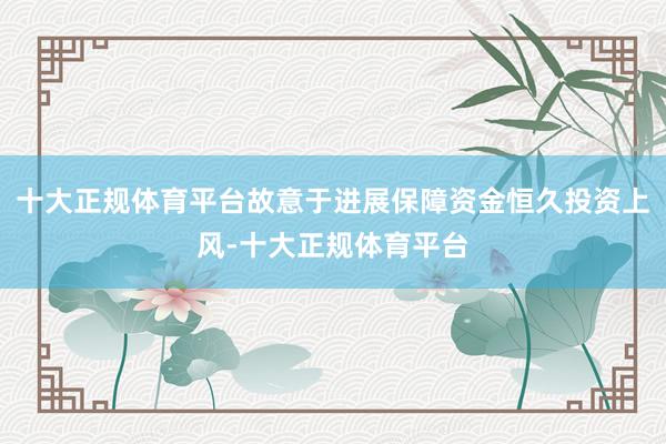 十大正规体育平台故意于进展保障资金恒久投资上风-十大正规体育平台