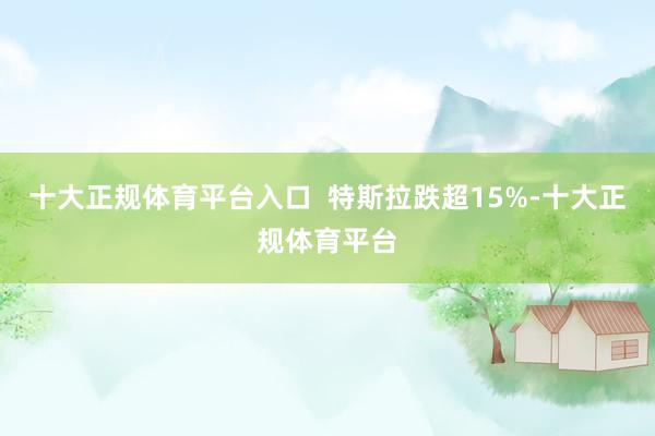 十大正规体育平台入口  特斯拉跌超15%-十大正规体育平台