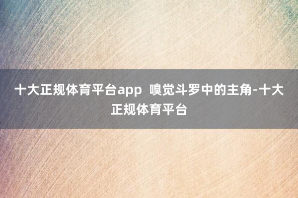 十大正规体育平台app  嗅觉斗罗中的主角-十大正规体育平台