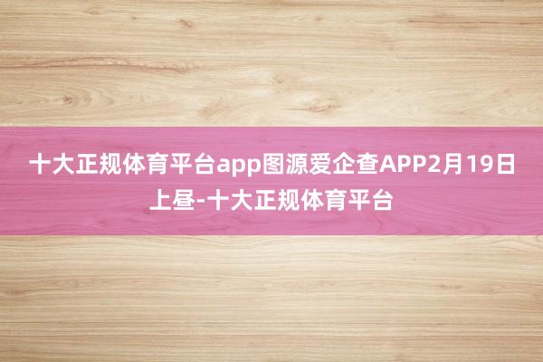 十大正规体育平台app图源爱企查APP2月19日上昼-十大正规体育平台