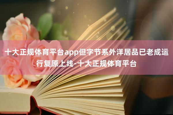 十大正规体育平台app但字节系外洋居品已老成运行复原上线-十大正规体育平台