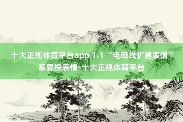 十大正规体育平台app 1.1 “电磁线扩建表情”系募投表情-十大正规体育平台