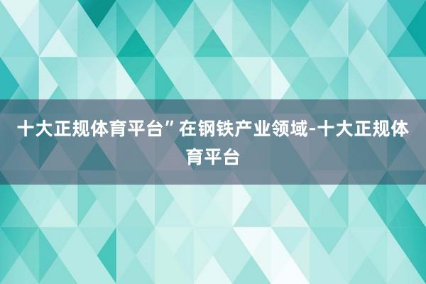 十大正规体育平台”　　在钢铁产业领域-十大正规体育平台
