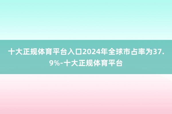 十大正规体育平台入口2024年全球市占率为37.9%-十大正规体育平台