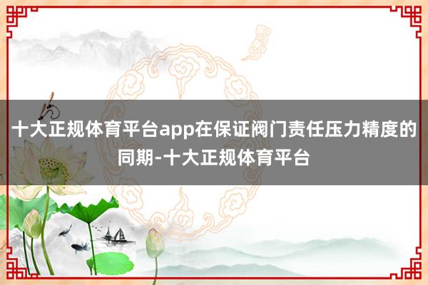 十大正规体育平台app在保证阀门责任压力精度的同期-十大正规体育平台