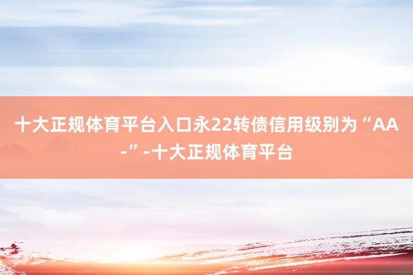十大正规体育平台入口永22转债信用级别为“AA-”-十大正规体育平台