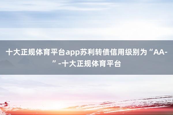 十大正规体育平台app苏利转债信用级别为“AA-”-十大正规体育平台