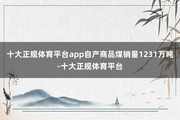 十大正规体育平台app自产商品煤销量1231万吨-十大正规体育平台
