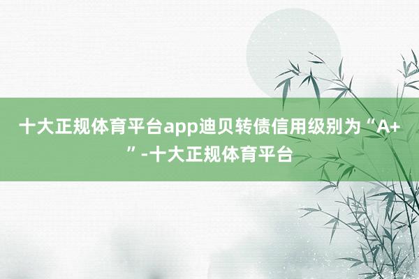 十大正规体育平台app迪贝转债信用级别为“A+”-十大正规体育平台