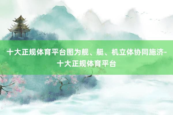 十大正规体育平台图为舰、艇、机立体协同施济-十大正规体育平台