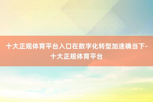 十大正规体育平台入口在数字化转型加速确当下-十大正规体育平台