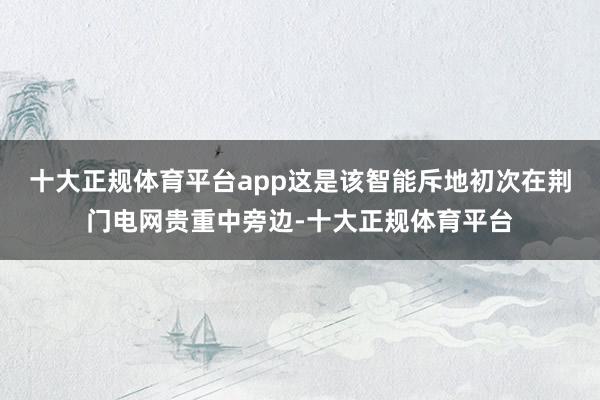 十大正规体育平台app这是该智能斥地初次在荆门电网贵重中旁边-十大正规体育平台
