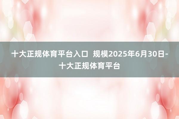 十大正规体育平台入口  规模2025年6月30日-十大正规体育平台