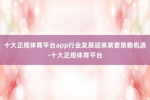 十大正规体育平台app行业发展迎来紧要策略机遇-十大正规体育平台