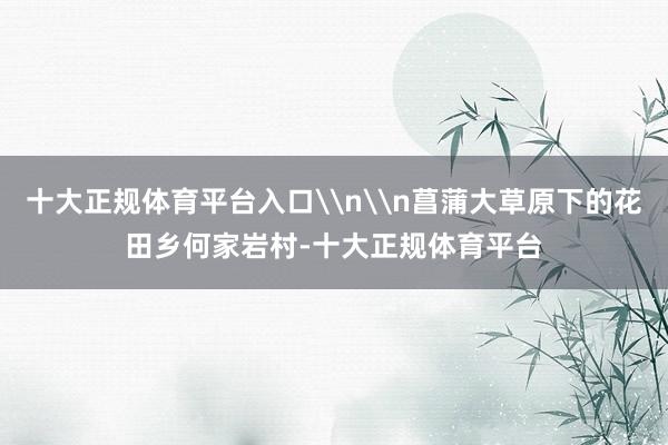 十大正规体育平台入口\n\n菖蒲大草原下的花田乡何家岩村-十大正规体育平台