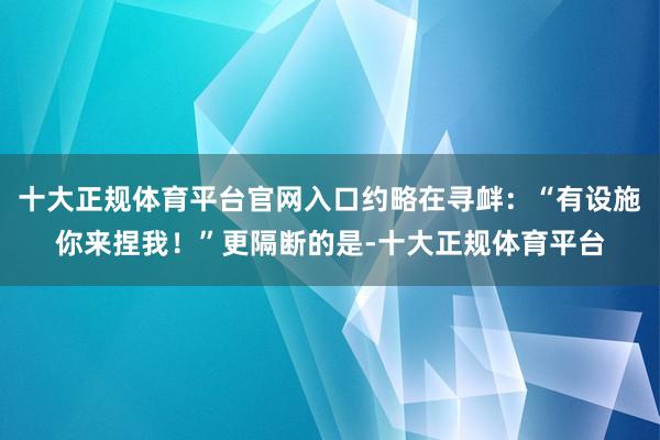 十大正规体育平台官网入口约略在寻衅：“有设施你来捏我！”更隔断的是-十大正规体育平台