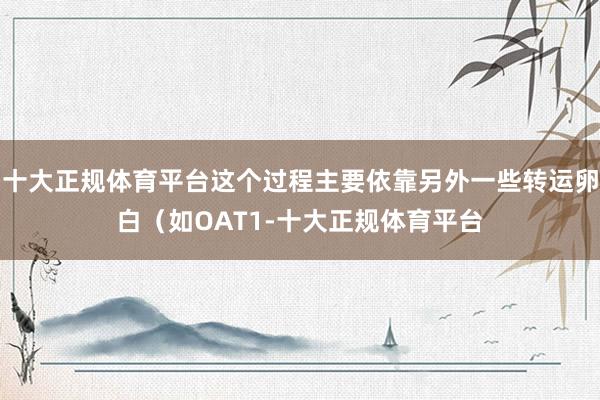 十大正规体育平台这个过程主要依靠另外一些转运卵白（如OAT1-十大正规体育平台