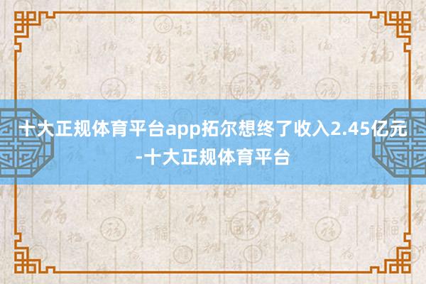 十大正规体育平台app拓尔想终了收入2.45亿元-十大正规体育平台