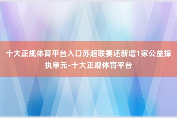 十大正规体育平台入口苏超联赛还新增1家公益撑执单元-十大正规体育平台