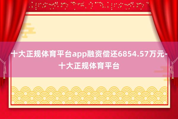 十大正规体育平台app融资偿还6854.57万元-十大正规体育平台