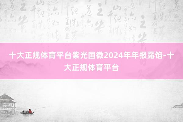 十大正规体育平台　　紫光国微2024年年报露馅-十大正规体育平台