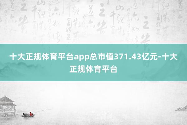 十大正规体育平台app总市值371.43亿元-十大正规体育平台